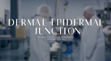 #JOELSAYS The Dermal Epidermal Junction