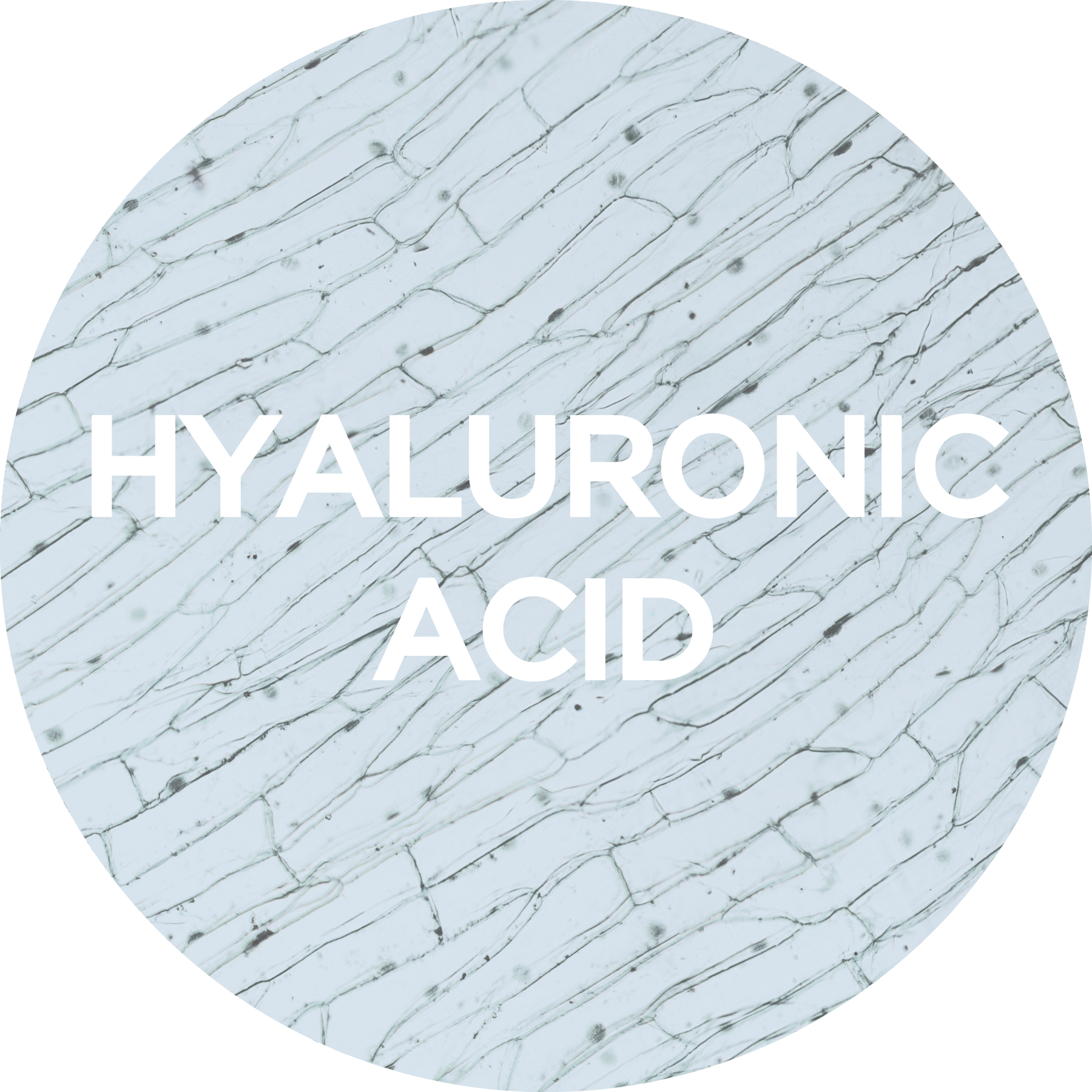 Hyaluronic Acid under microscope in circle
