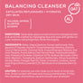 Balancing Cleanser