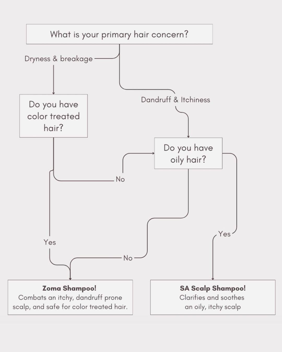 Zoma & SA Informational